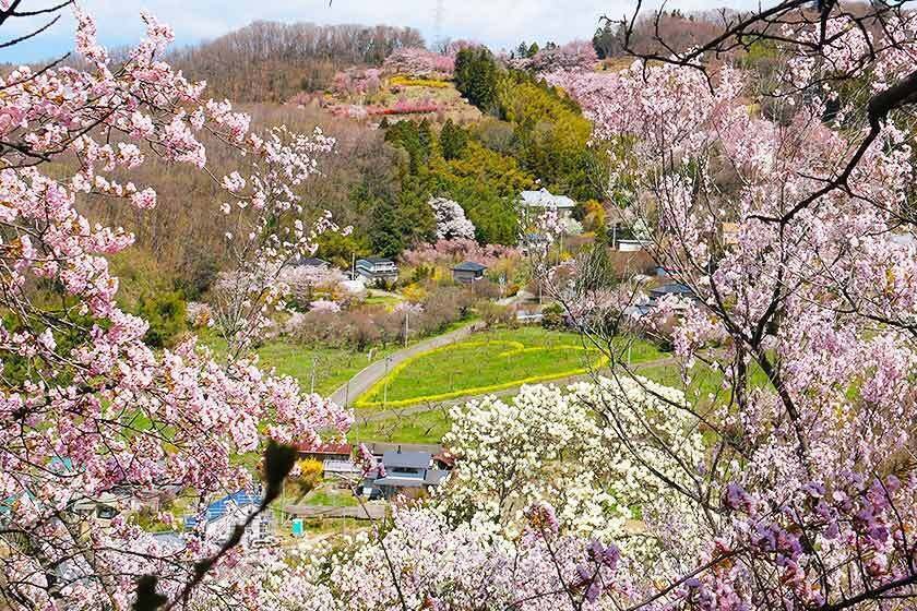 🏞️ 후쿠시마 공항 공원 (후쿠시마 쿠코 코엔) 이미지 8